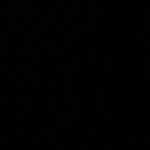 Meet your Posher, Darcus - Picture 1 of 1